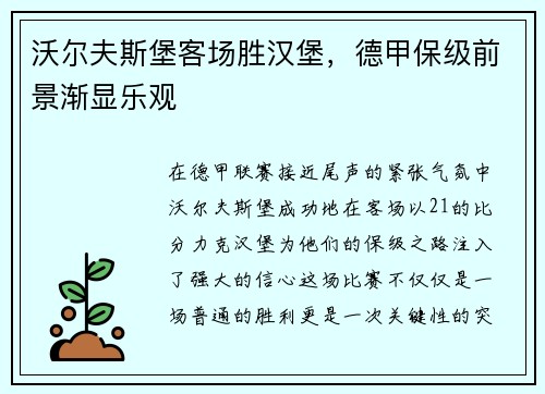 沃尔夫斯堡客场胜汉堡，德甲保级前景渐显乐观